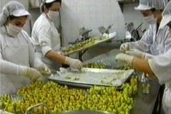 FOTOS (193) � IMAGEN FOTOGRAFIA